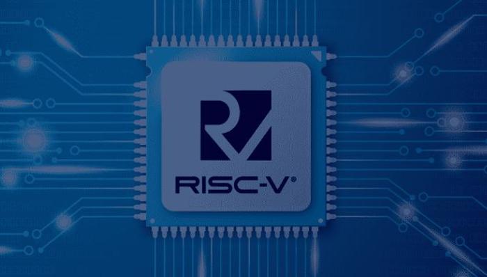 Customizable RISC