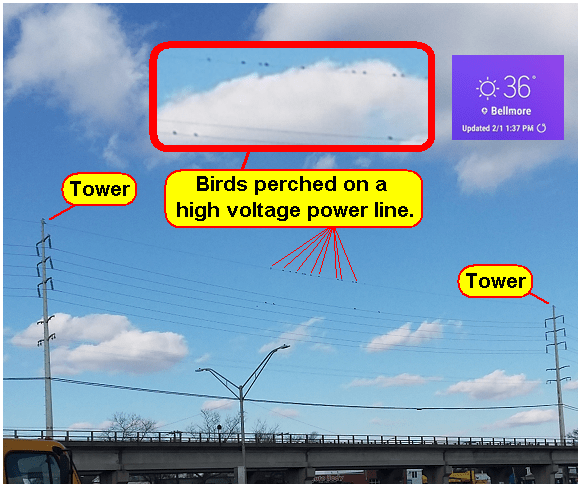 Birds on power lines, another look